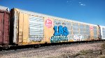 KCS 9622 TTGX 691071 Con Grafiti 